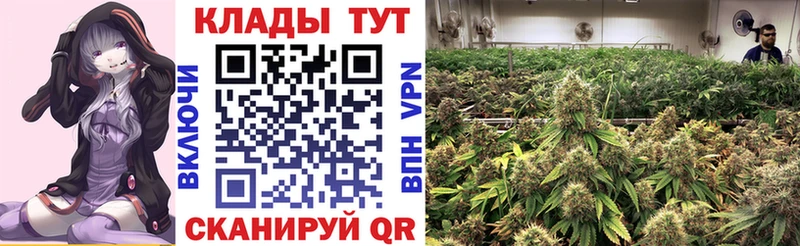 Где купить Благодарный A PVP  Мефедрон  Лсд 25  Каннабис  ГАШИШ 