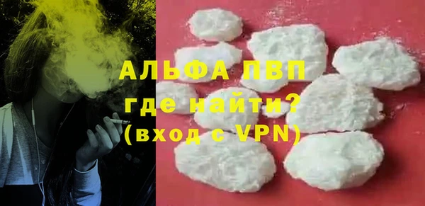 стафф Россошь