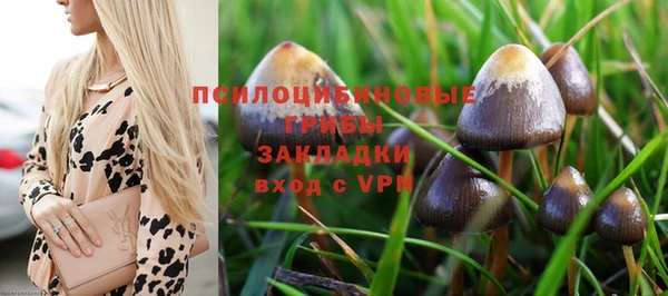 ешки Балабаново