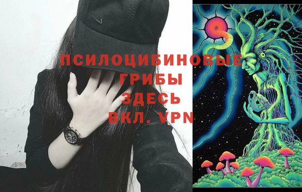 мдпв Ростов